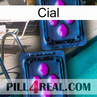 Cial 03